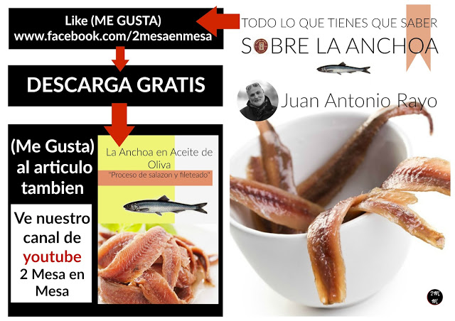 Como preparar las Anchoas.  Por Juan Antonio Rayo. www.demesaenmesa.es
