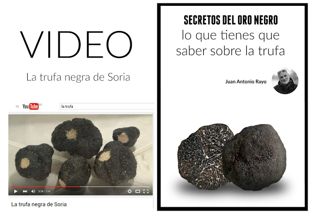EL ORO NEGRO-LO QUE TIENES QUE SABER DE LA TRUFA.  Juan Antonio Rayo. www.demesaenmesa.es 1