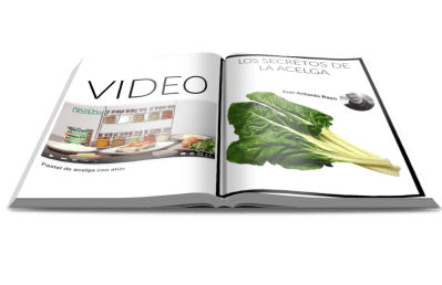 LOS SECRETOS DE LA ACELGA+RECETA  Juan Antonio Rayo. www.demesaenmesa.es  DE MESA EN MESA revista gastronómica 1