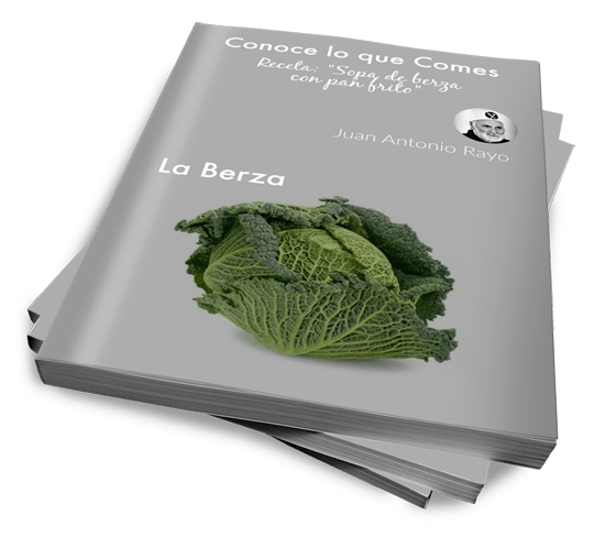 de mesa en mesa Conoce lo que comes .LA BERZA. Receta: Sopa de berza con pan frito.