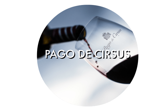 pago-de-cirsus
