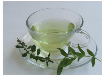 DE MESA EN MESA REVISTA GASTRONOMICA Infusiones-Oregano.