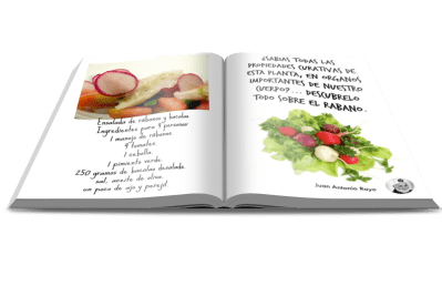 DE MESA EN MESA REVISTA GASTRONOMICA-¿SABÍAS TODAS LAS PROPIEDADES CURATIVAS DE ESTA PLANTA, EN ÓRGANOS IMPORTANTES DE NUESTRO CUERPO?...