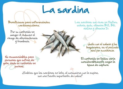 de mesa en mesa-propriedades-¡SABIAS LA CANTIDAD DE PROPIEDADES QUE TIENE ESTE PESCADO?... PUES HOY LA SARDINA