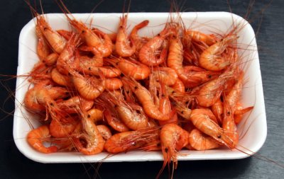 de mesa en mesa-Camaron