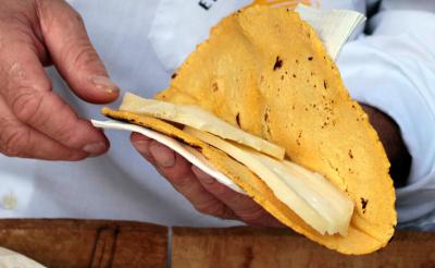 EL TALO, HISTORIA, PROPIEDADES, RECETA